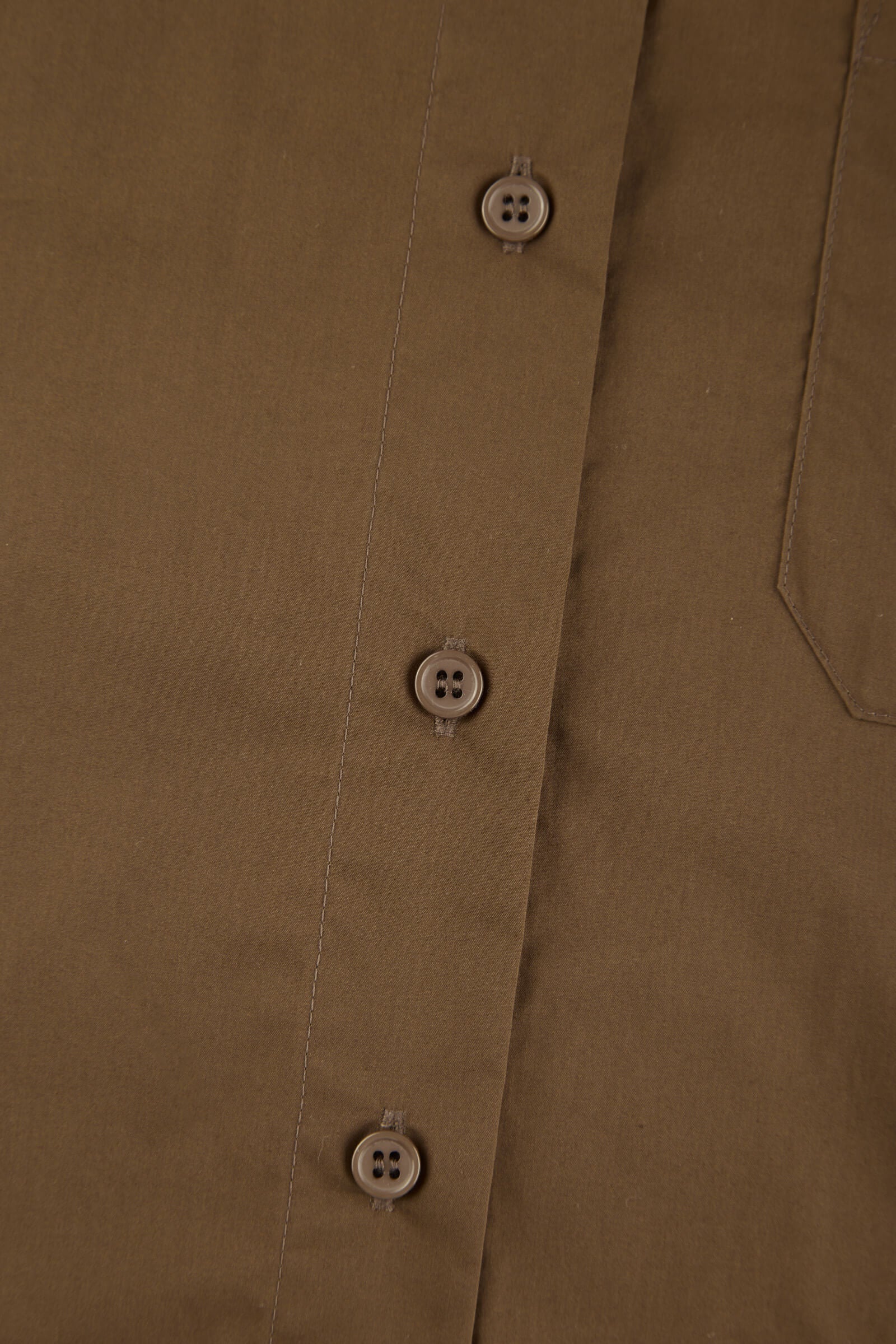 #color_Coffee Brown