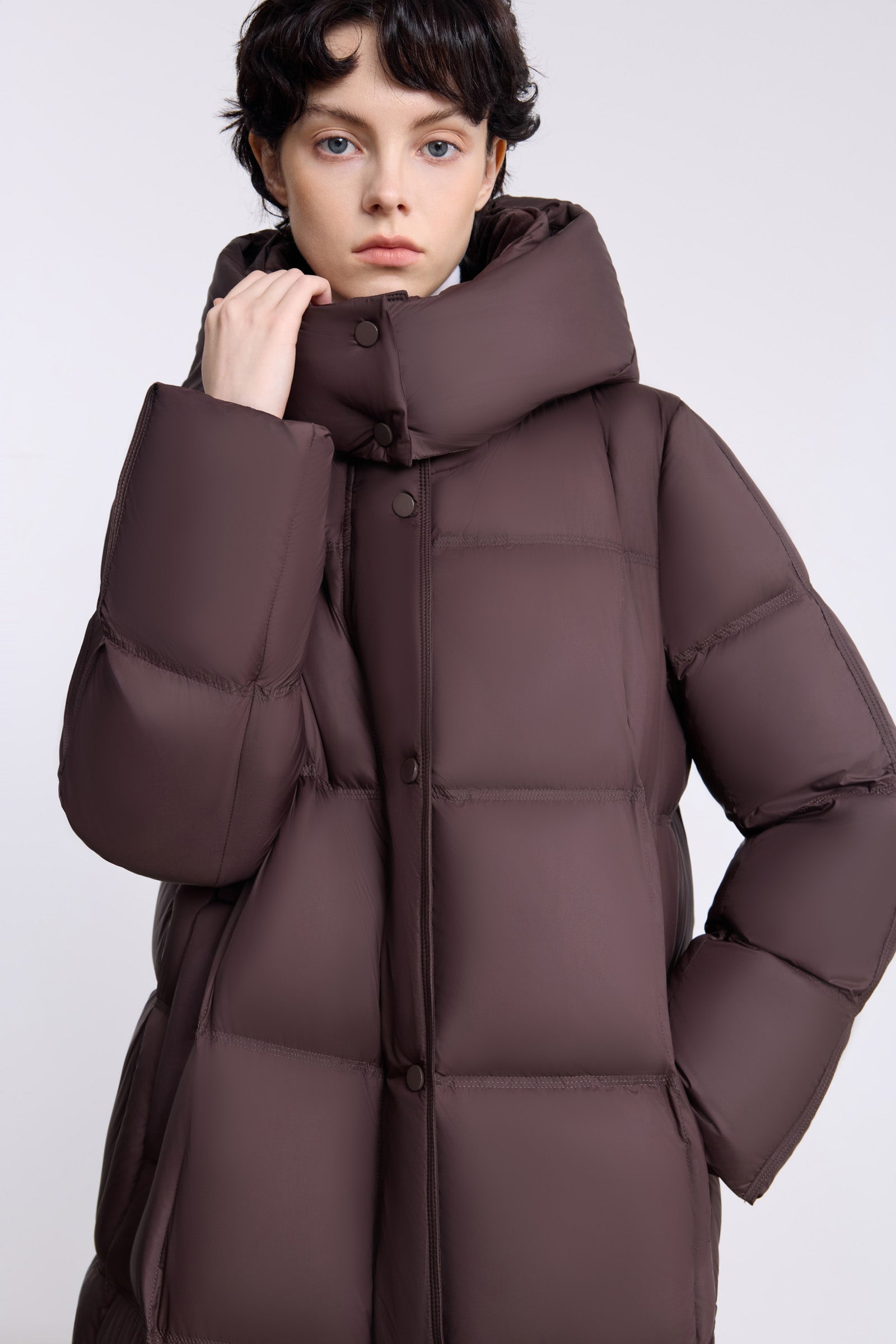 #color_Brown