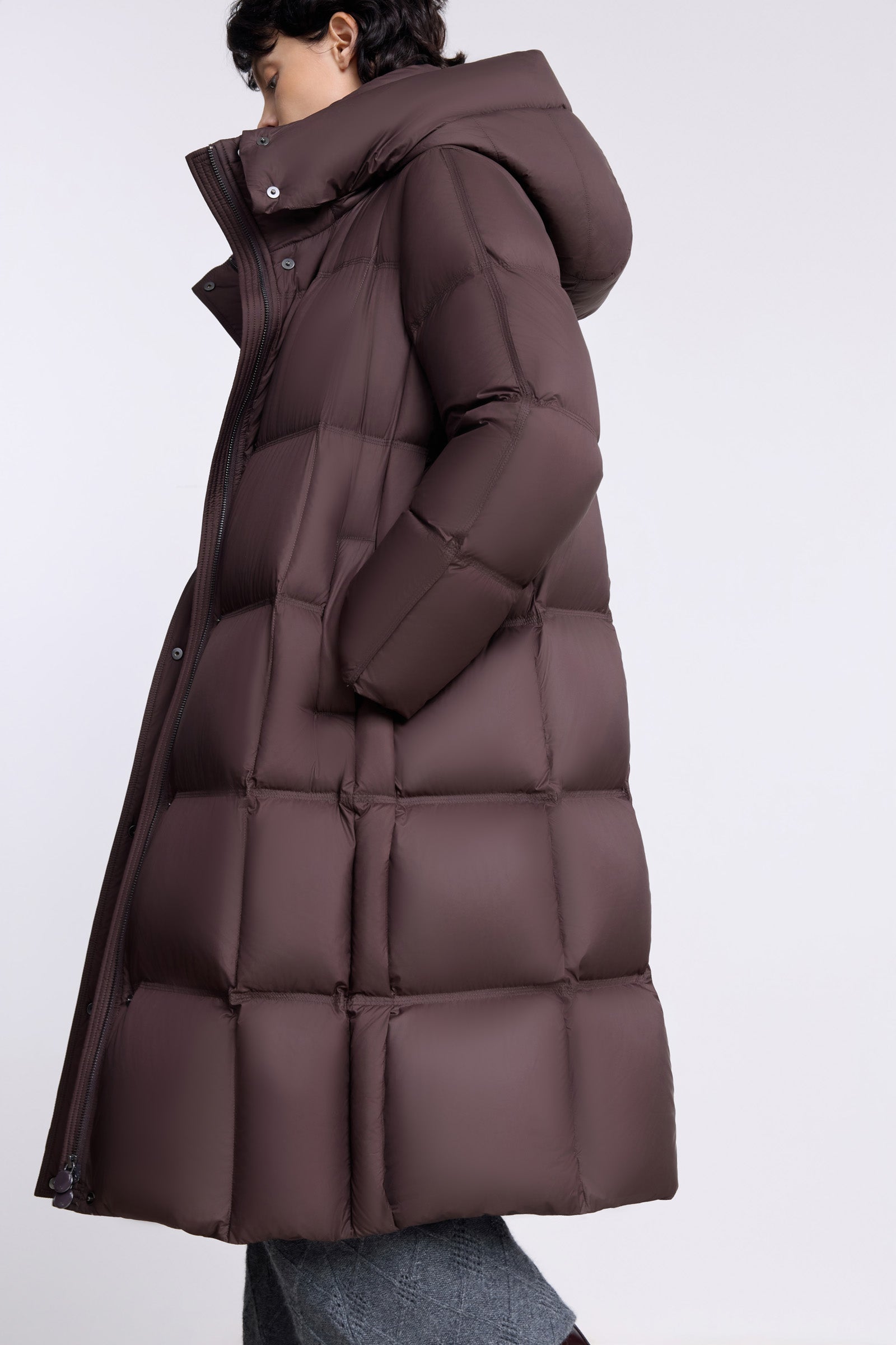 #color_Brown