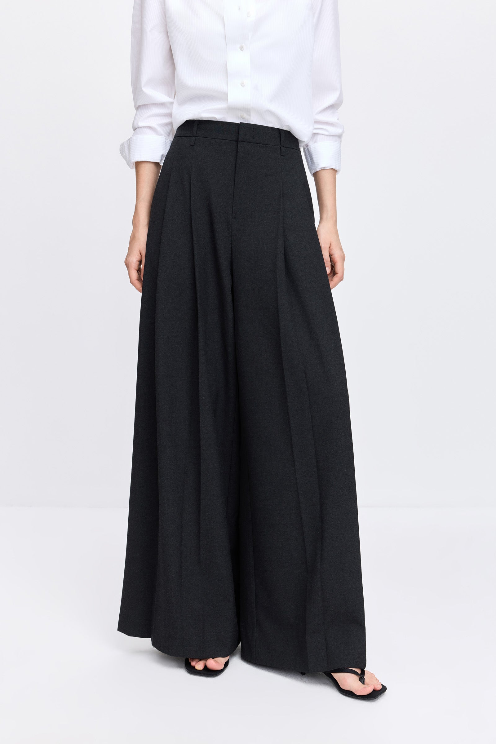 #color_Dark Charcoal Gray