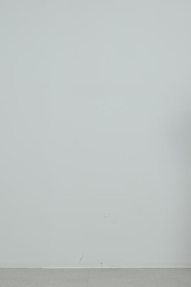 #color_Off White