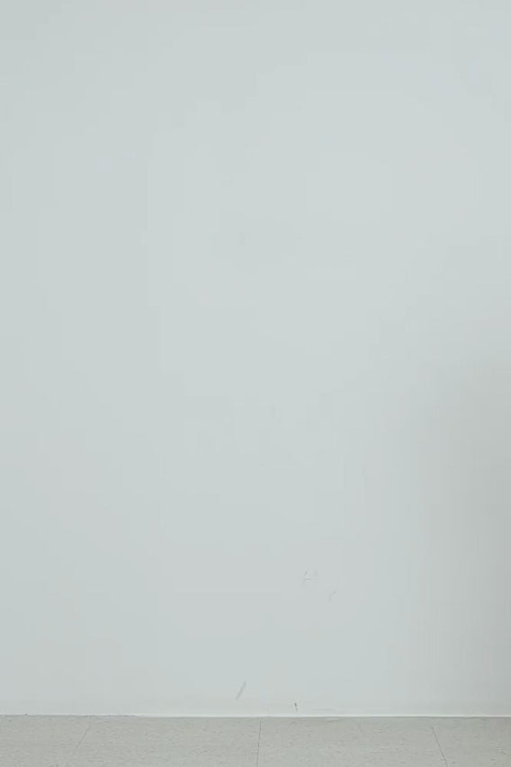 #color_Off White