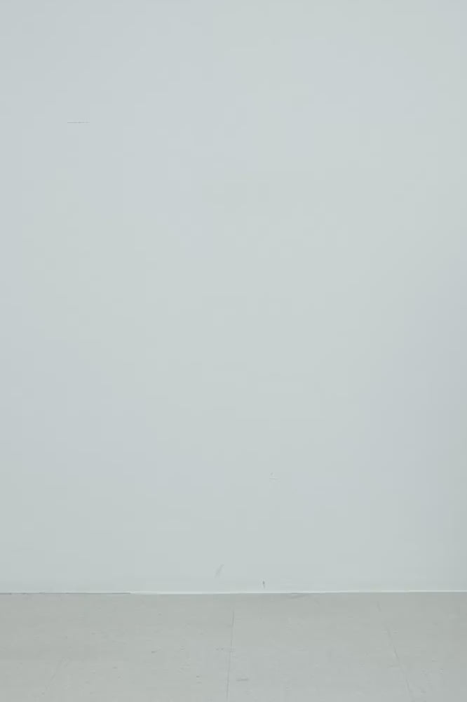 #color_Light Gray