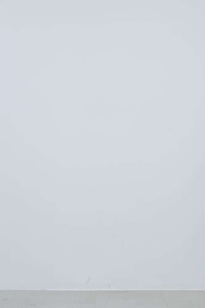 #color_Pale Yellow
